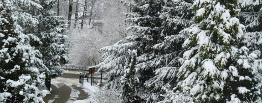 fotka 6 - Nad Strumykiem